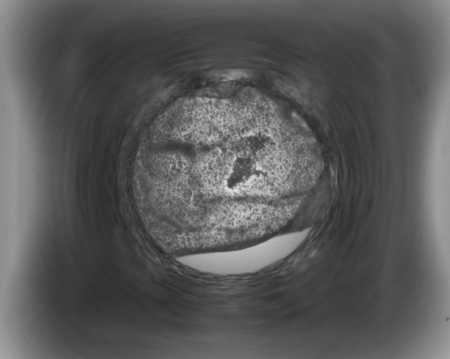 X0000083581393200703091648