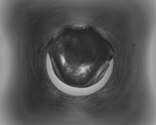 X0000083581394200703091649
