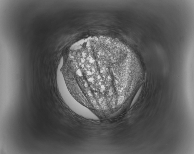 X0000083581397200703091649
