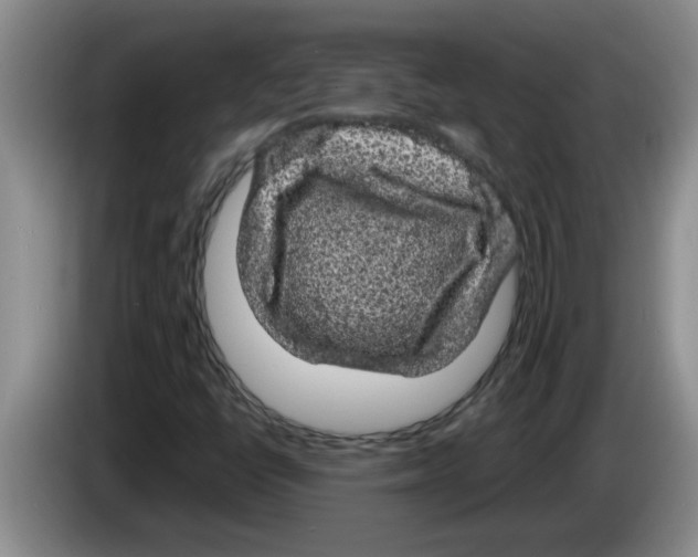 X0000083581398200703091649