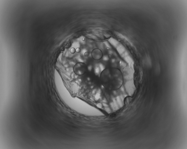 X0000083581399200703091649