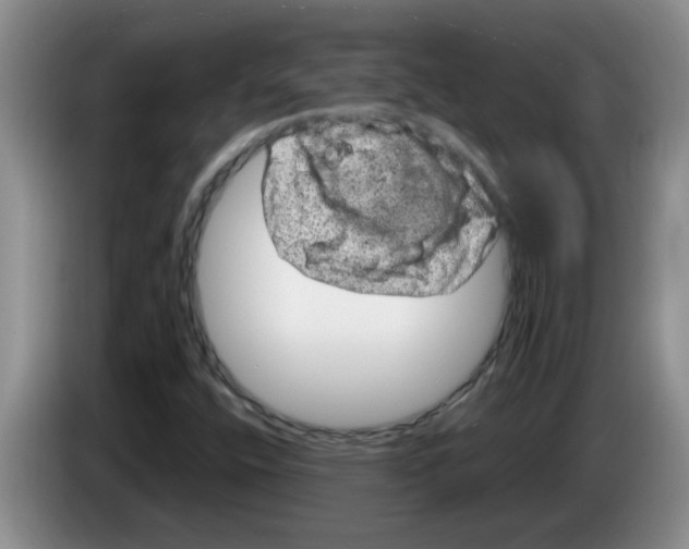 X0000083581400200703091649