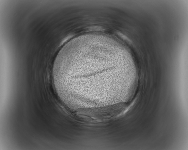 X0000083581401200703091649
