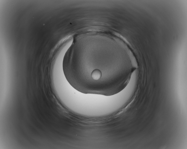 X0000083581402200703091649