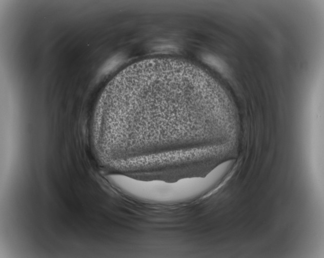 X0000083581403200703091649