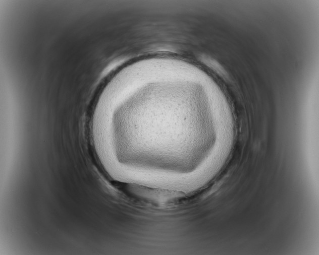 X0000083581404200703091649