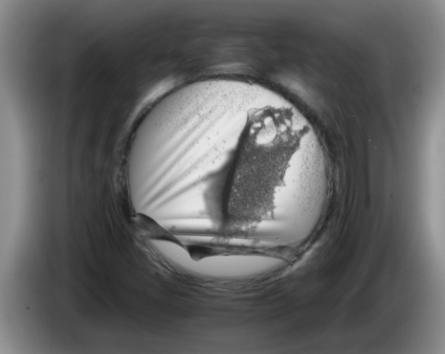 X0000083581405200703091649