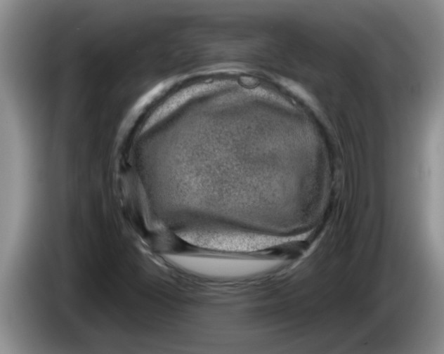 X0000083581406200703091649