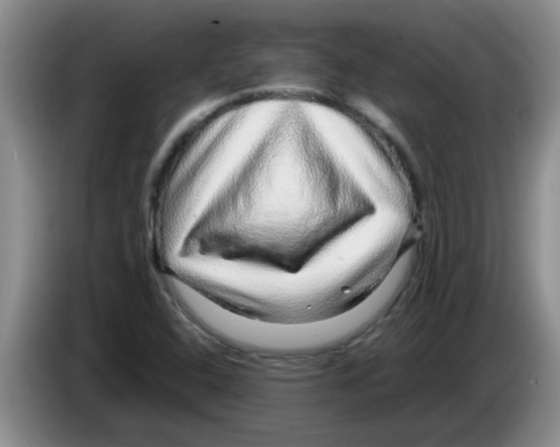 X0000083581408200703091649