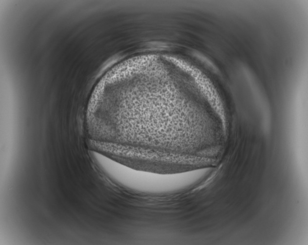 X0000083581409200703091649