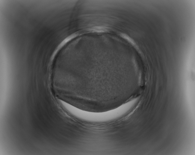 X0000083581410200703091649