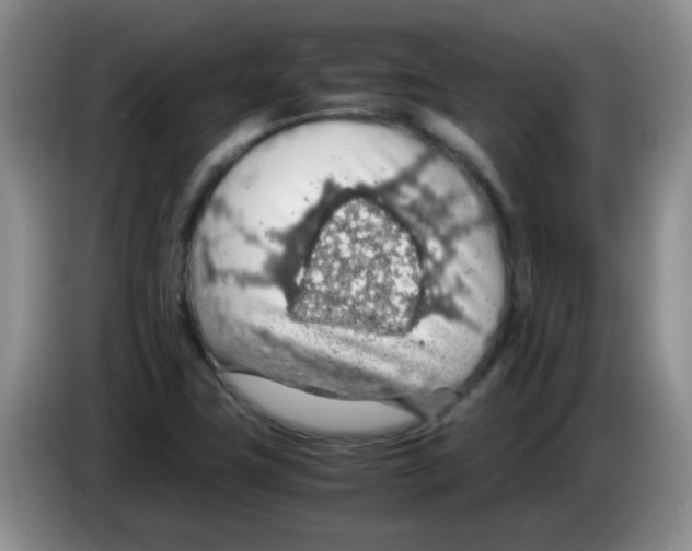 X0000083581411200703091649