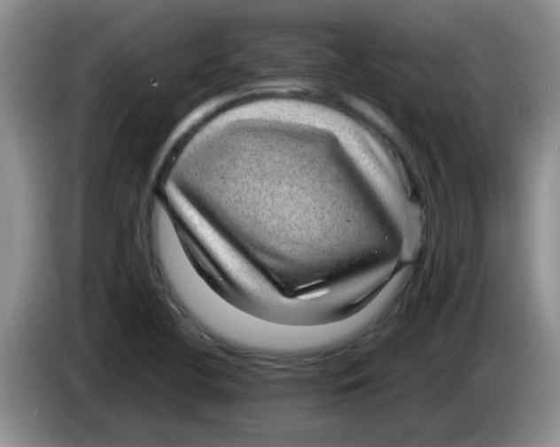 X0000083581412200703091649