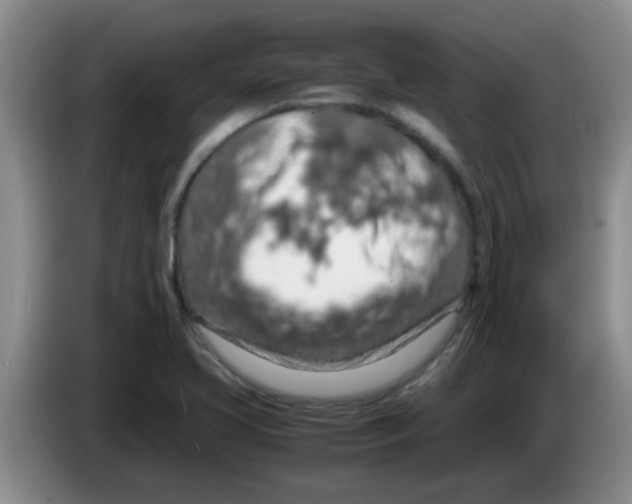 X0000083581413200703091649