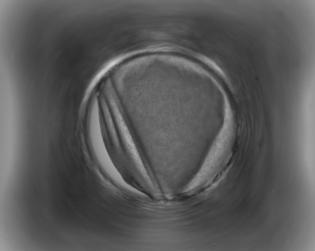 X0000083581414200703091649
