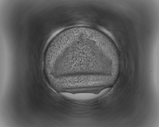 X0000083581415200703091649