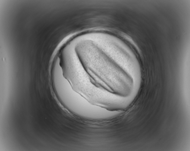 X0000083581416200703091649
