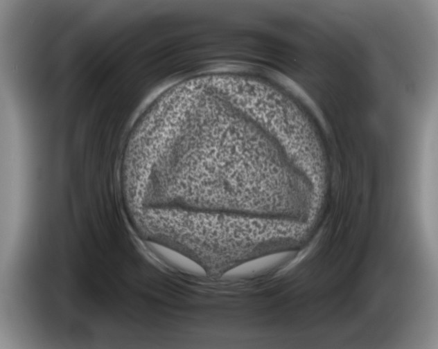 X0000083581417200703091649