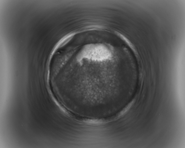 X0000083581418200703091649