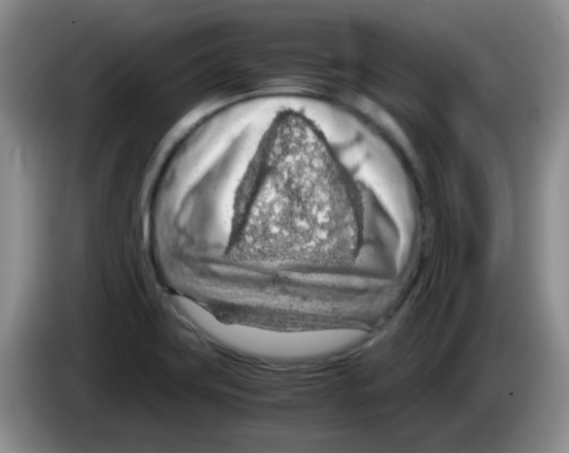 X0000083581419200703091649