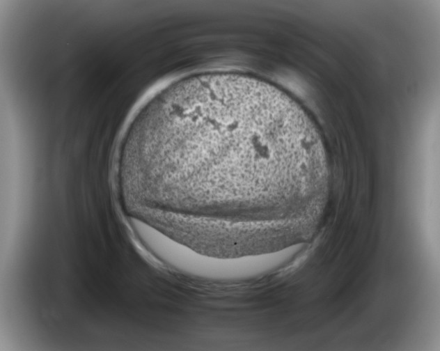 X0000083581421200703091649