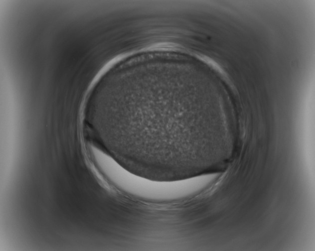 X0000083581422200703091649