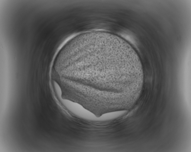 X0000083581423200703091649
