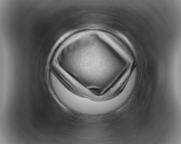 X0000083581424200703091649