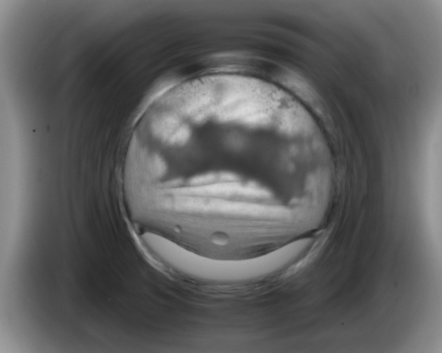X0000083581425200703091649