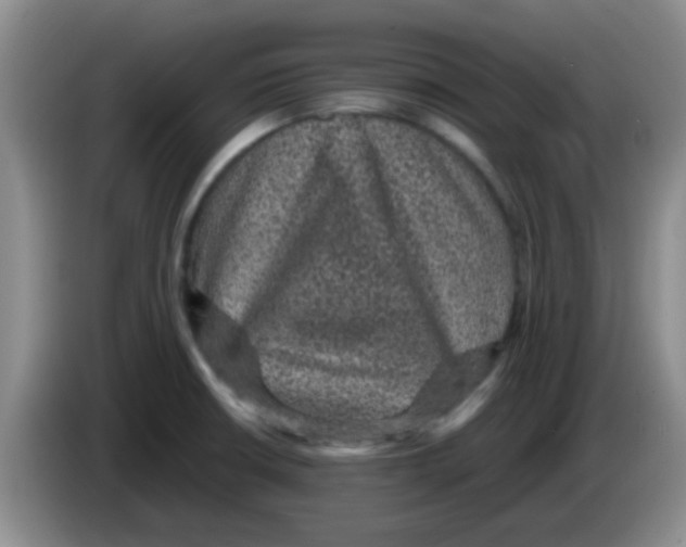 X0000083581426200703091649