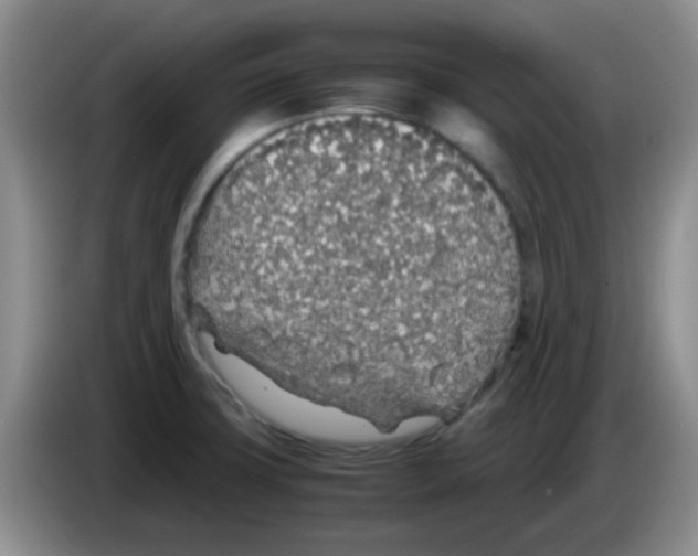 X0000083581427200703091649