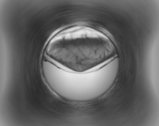 X0000083581428200703091649