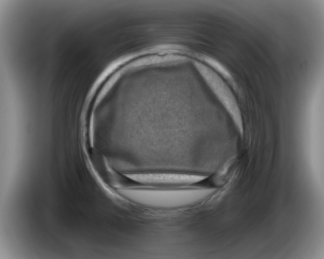 X0000083581430200703091649