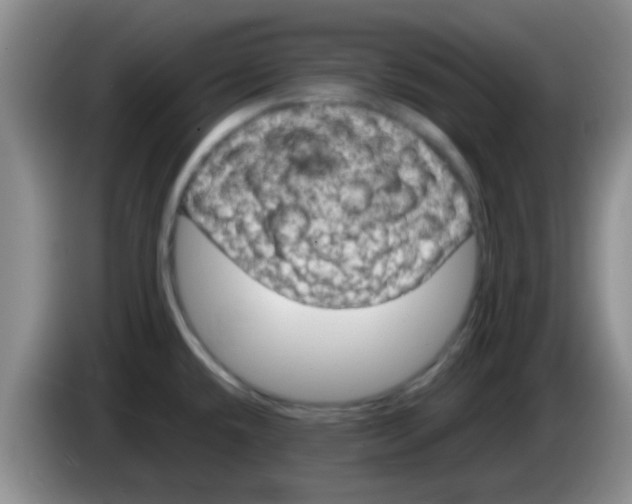 X0000083581432200703091649