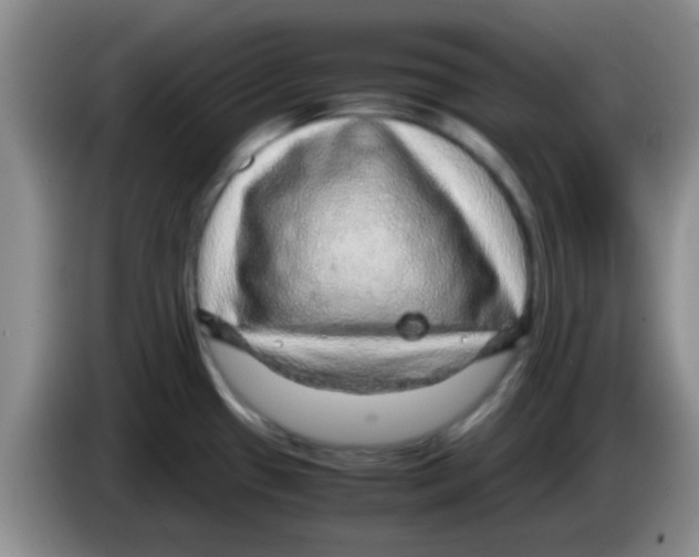 X0000083581433200703091649