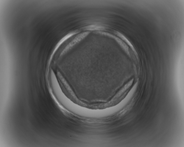 X0000083581434200703091649