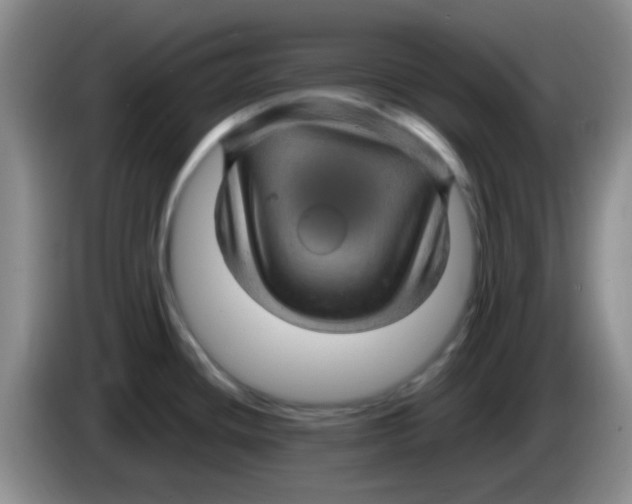 X0000083581436200703091649