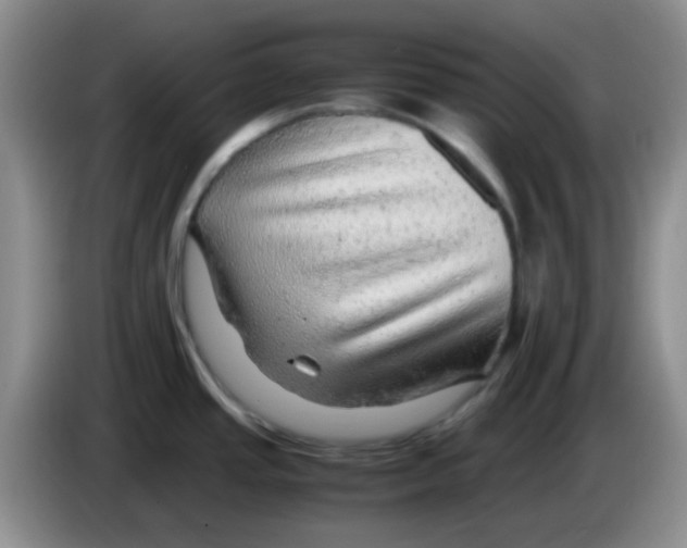 X0000083581437200703091649