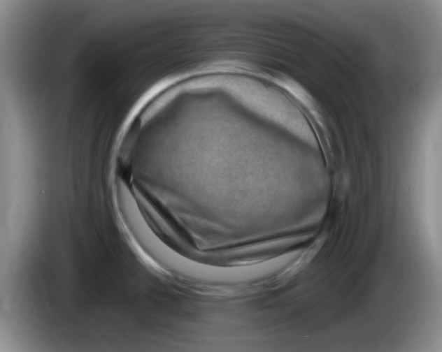 X0000083581438200703091649