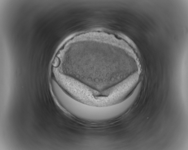 X0000083581439200703091649