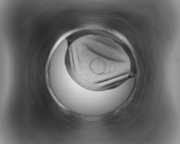 X0000083581440200703091649