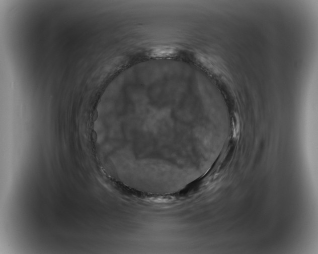 X0000083581441200703091648