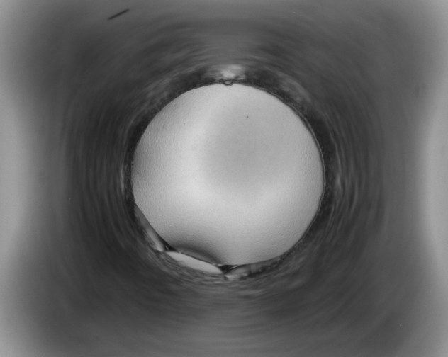 X0000083581442200703091648