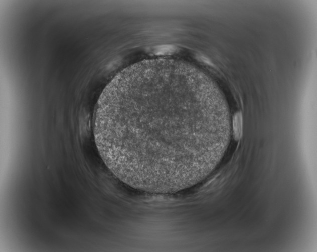 X0000083581443200703091648