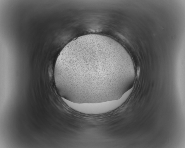 X0000083581444200703091648