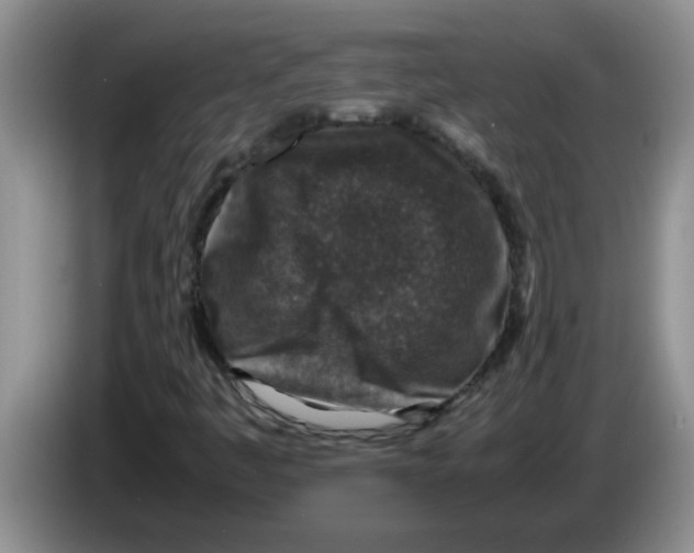X0000083581445200703091648