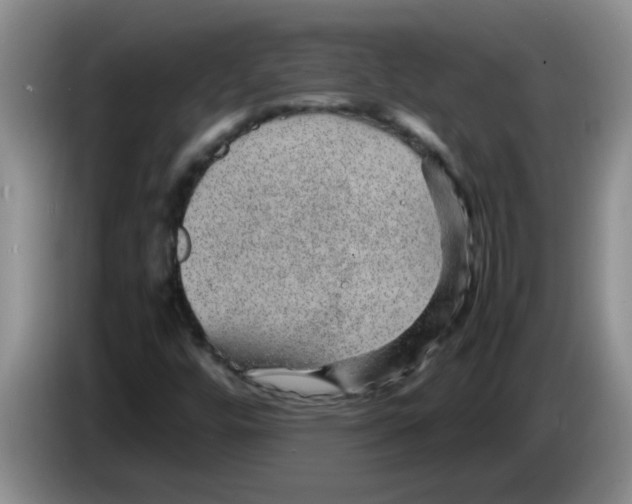 X0000083581448200703091648