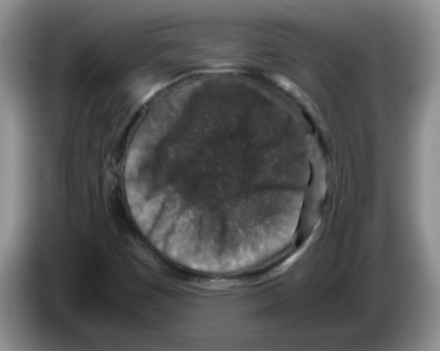 X0000083581449200703091648