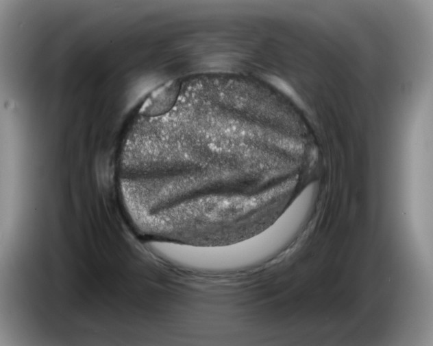 X0000083581450200703091648