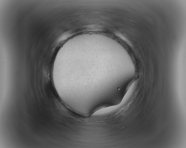 X0000083581451200703091648